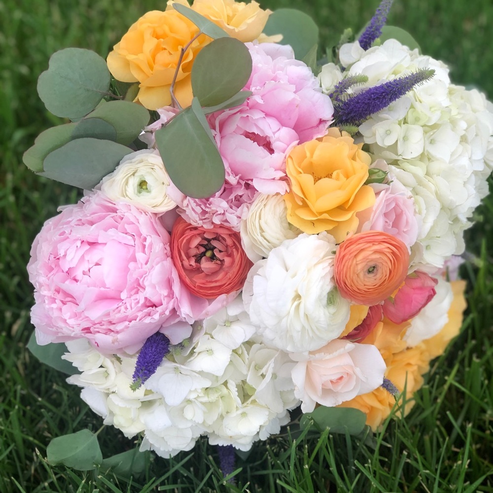 Meet your Posher, Jenny